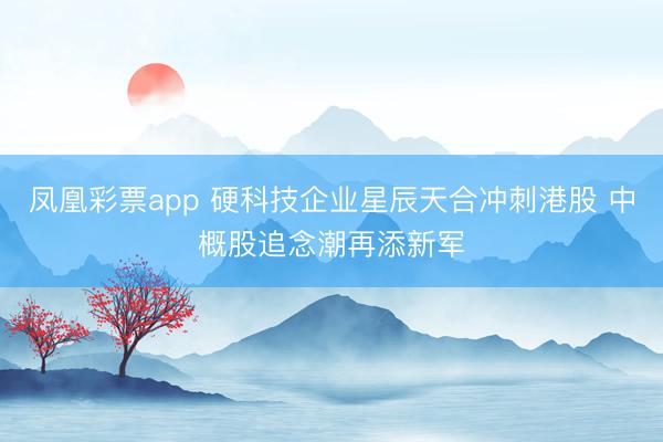 凤凰彩票app 硬科技企业星辰天合冲刺港股 中概股追念潮再添新军