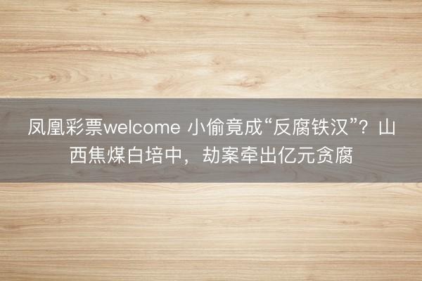 凤凰彩票welcome 小偷竟成“反腐铁汉”？山西焦煤白培中，劫案牵出亿元贪腐