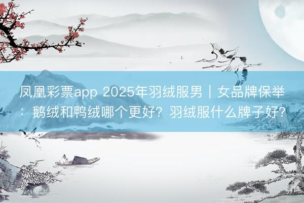 凤凰彩票app 2025年羽绒服男｜女品牌保举：鹅绒和鸭绒哪个更好？羽绒服什么牌子好？