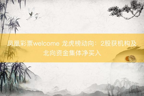 凤凰彩票welcome 龙虎榜动向：2股获机构及北向资金集体净买入