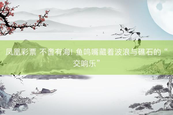 凤凰彩票 不啻有海! 鱼鸣嘴藏着波浪与礁石的 “交响乐”