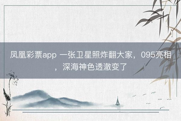 凤凰彩票app 一张卫星照炸翻大家，095亮相，深海神色透澈变了