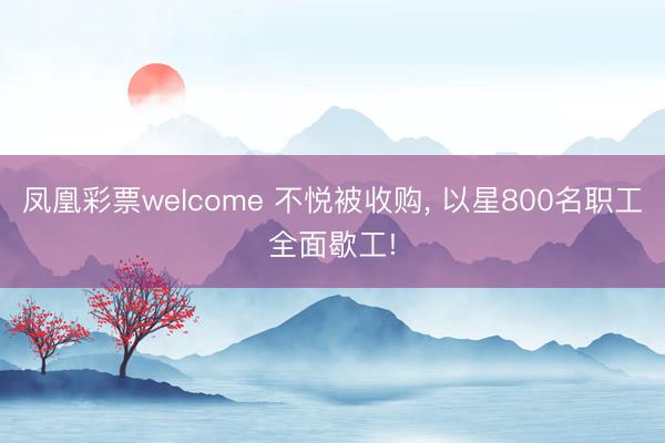 凤凰彩票welcome 不悦被收购, 以星800名职工全面歇工!