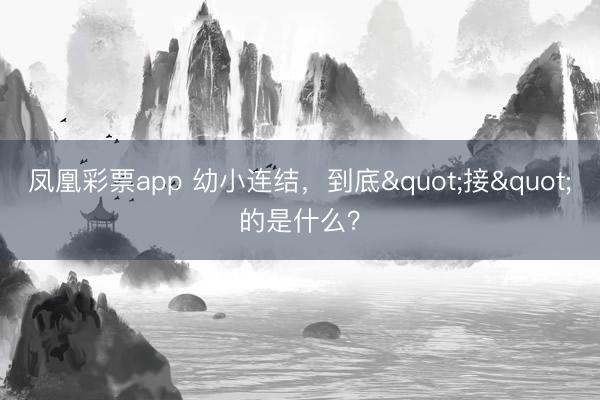 凤凰彩票app 幼小连结，到底"接"的是什么？