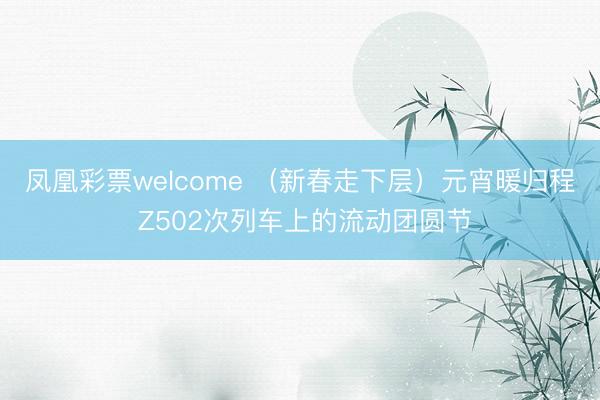 凤凰彩票welcome （新春走下层）元宵暖归程 Z502次列车上的流动团圆节