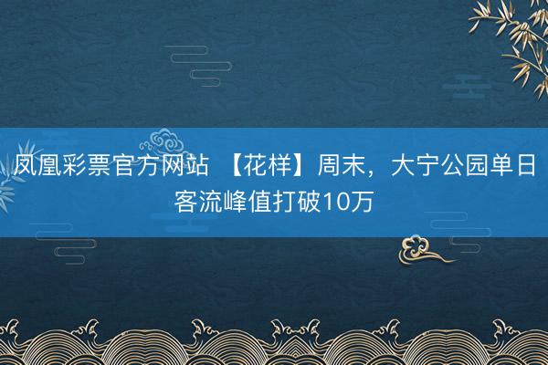 凤凰彩票官方网站 【花样】周末，大宁公园单日客流峰值打破10万