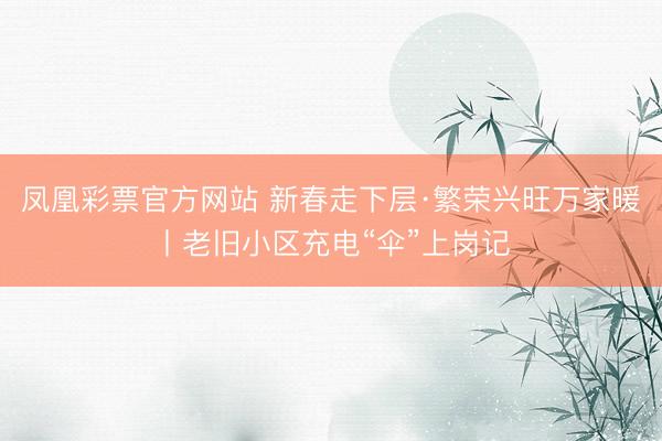 凤凰彩票官方网站 新春走下层·繁荣兴旺万家暖丨老旧小区充电“伞”上岗记