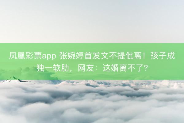 凤凰彩票app 张婉婷首发文不提仳离！孩子成独一软肋，网友：这婚离不了？