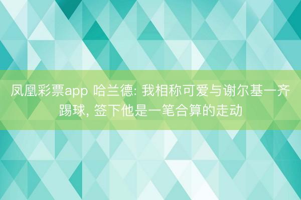 凤凰彩票app 哈兰德: 我相称可爱与谢尔基一齐踢球, 签下他是一笔合算的走动
