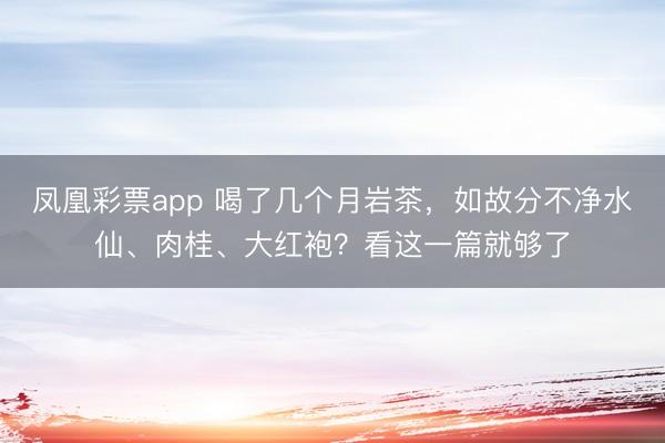 凤凰彩票app 喝了几个月岩茶，如故分不净水仙、肉桂、大红袍？看这一篇就够了