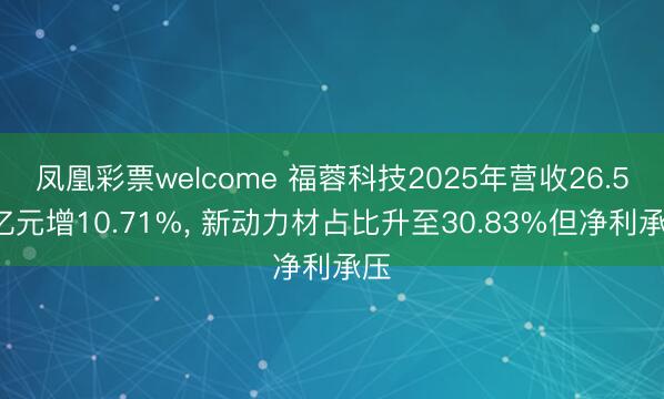 凤凰彩票welcome 福蓉科技2025年营收26.52亿元增10.71%, 新动力材占比升至30.83%但净利承压