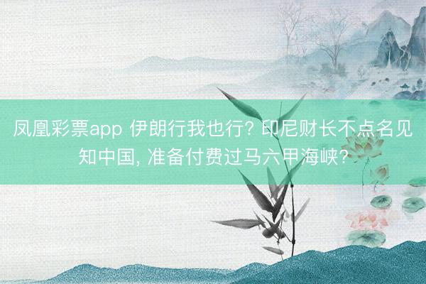 凤凰彩票app 伊朗行我也行? 印尼财长不点名见知中国, 准备付费过马六甲海峡?